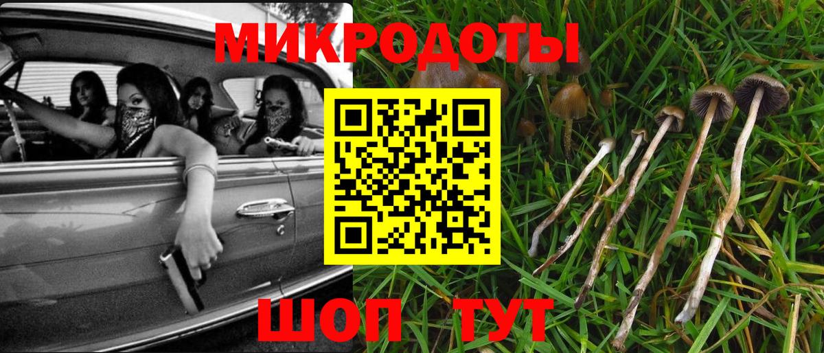 Псилоцибиновые грибы прущие грибы  Вход с VPN  Псилоцибиновые грибы мухоморы  Химки 